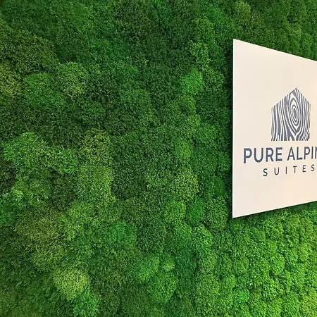 Pure Alpine * 슈라드밍
